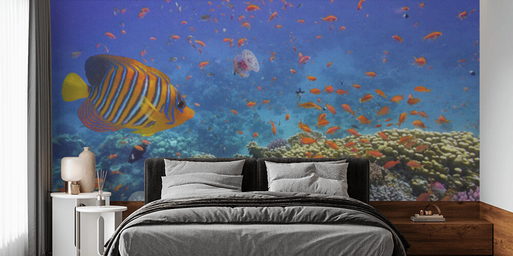 Coral Reef and Tropical Fish in the Red Sea, Camera da Letto