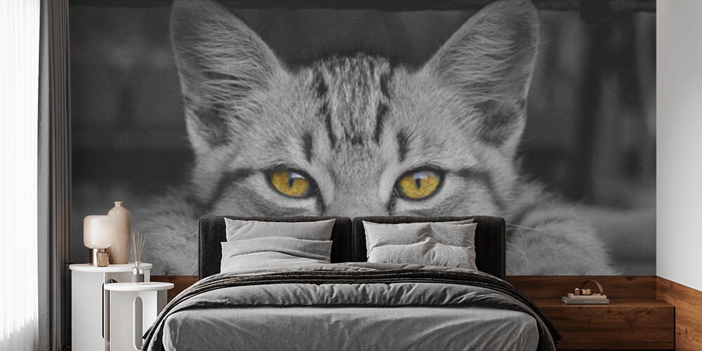 Black & Yellow, Camera da Letto