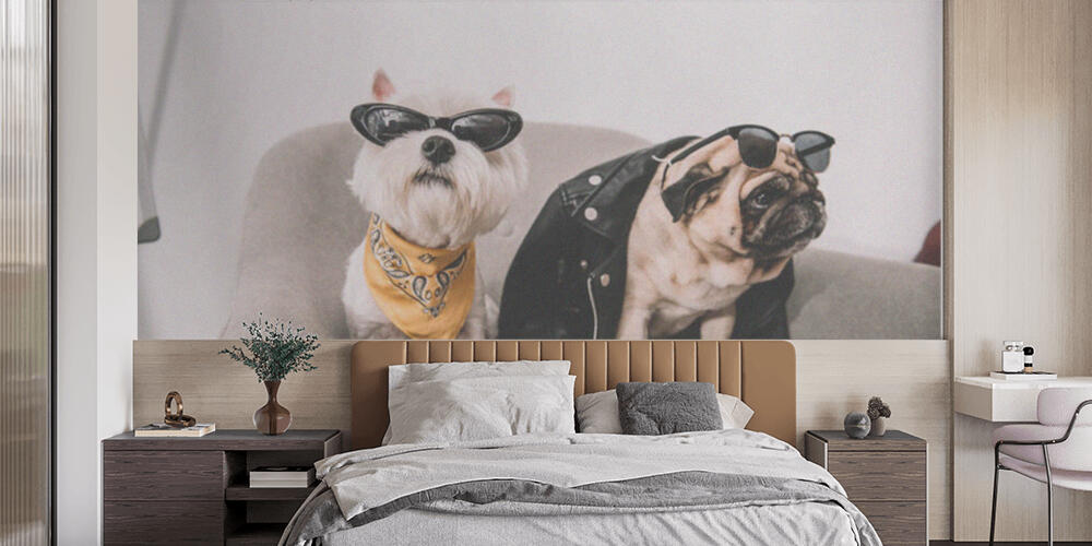 stylish dogs in sunglasses, Camera da Letto