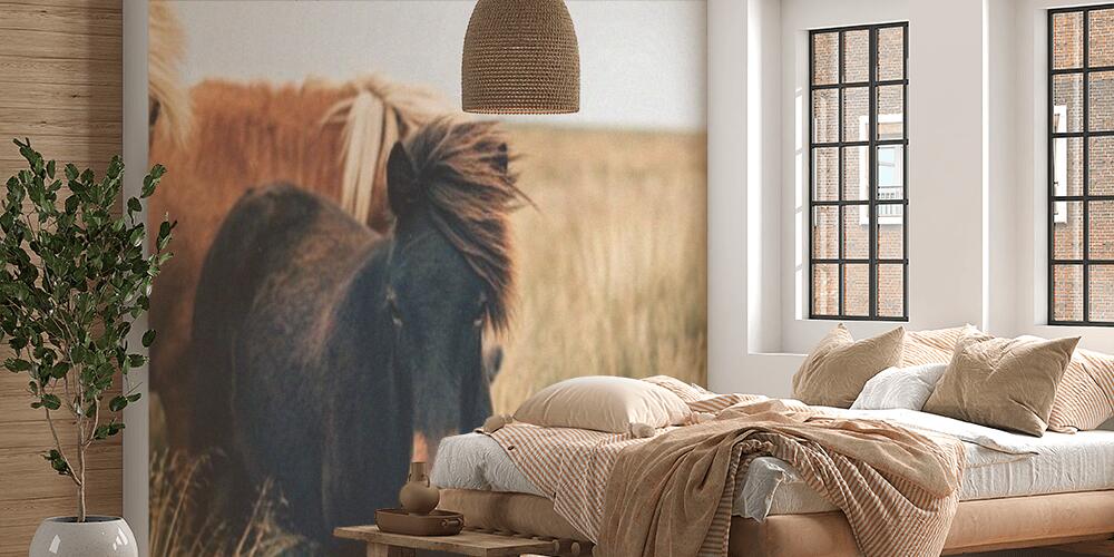 horses, Camera da Letto