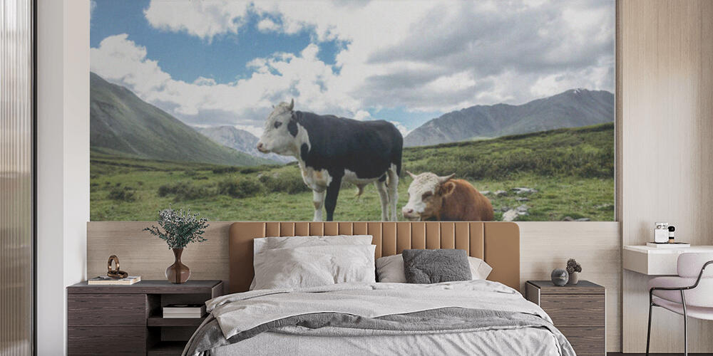 Cows, Camera da Letto