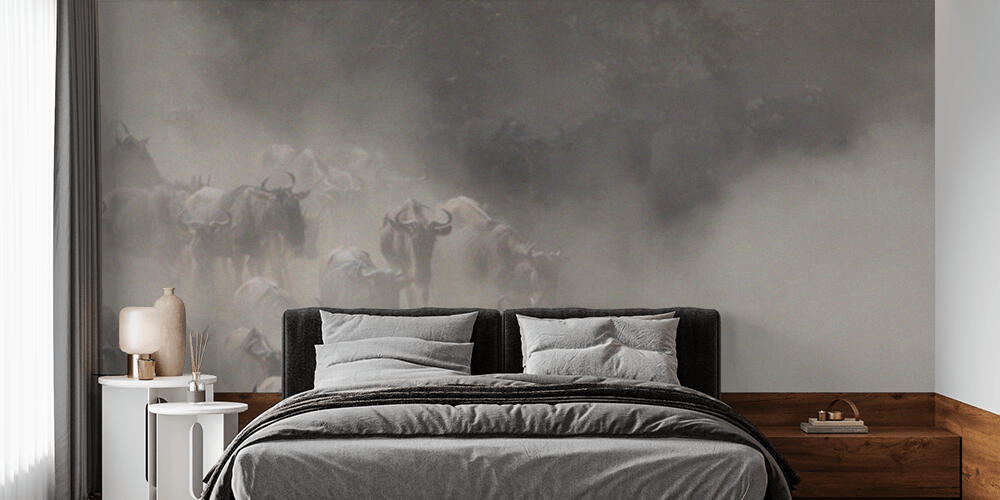 Picture of wildlife, Camera da Letto