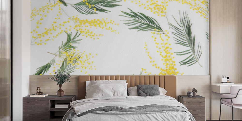 mimosa flowers on white background, Camera da Letto