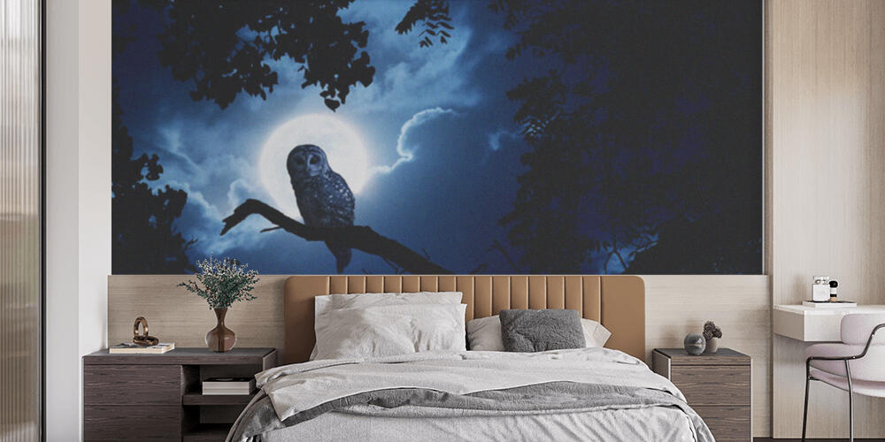Owl Watches Intently Illuminated By Full Moon On Halloween Night, Camera da Letto