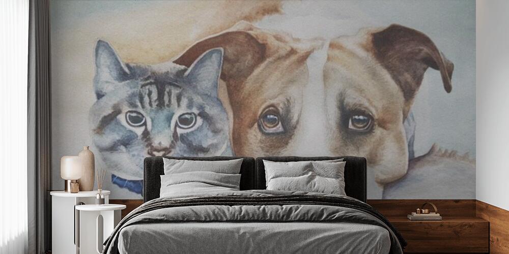Dog and cat are the best friends, Camera da Letto