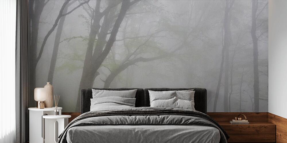 Risveglio nella nebbia, Camera da Letto