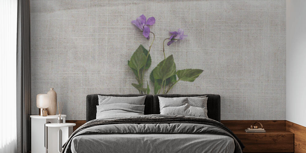 Viola reichenbachiana flower on rustic linen cloth background, Camera da Letto