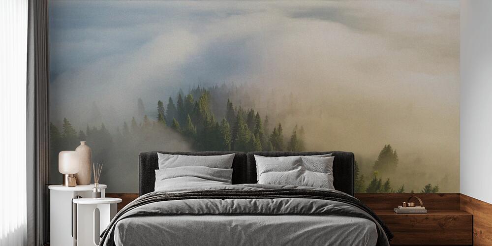 La foresta si risveglia nella nebbia, Camera da Letto
