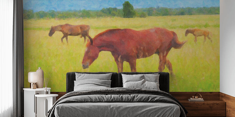 Picture three horses on a pasture, Camera da Letto