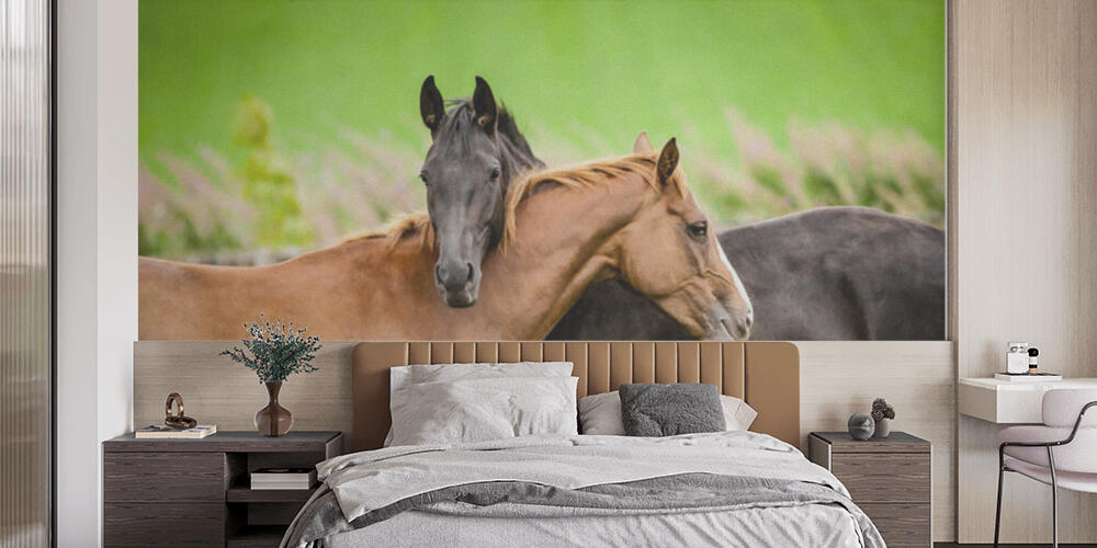 Two horses embracing, Camera da Letto