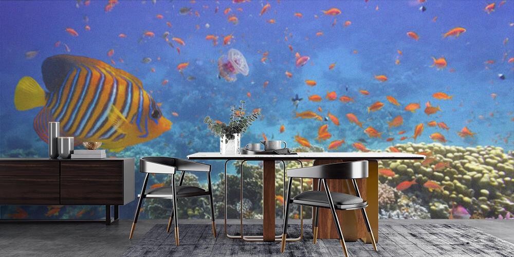 Coral Reef and Tropical Fish in the Red Sea, Cucina