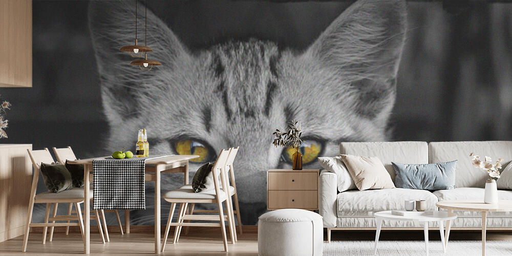 Black & Yellow, Cucina