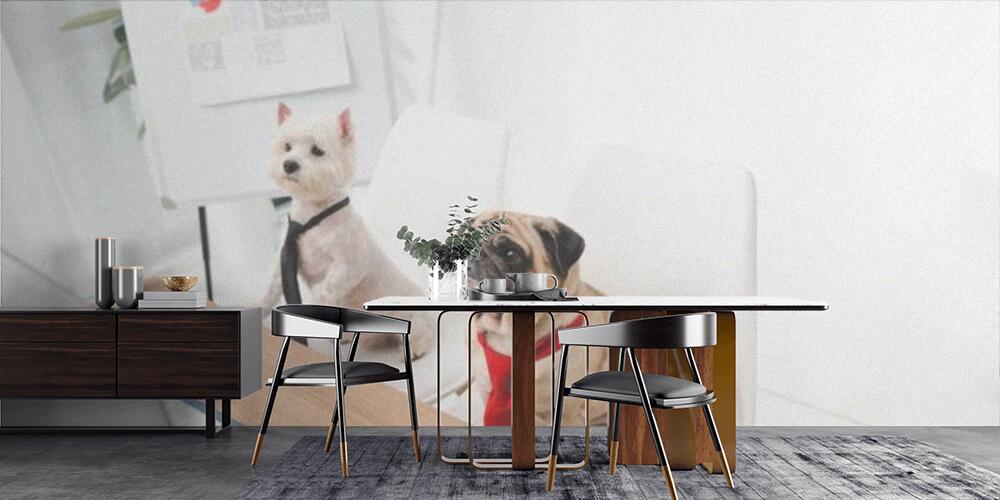 business dogs in neckties, Cucina