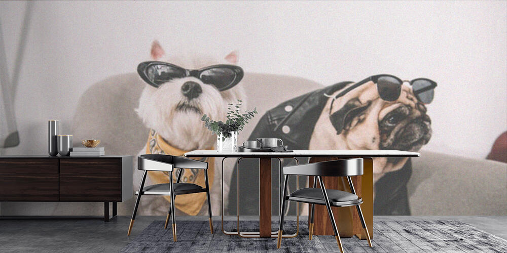 stylish dogs in sunglasses, Cucina