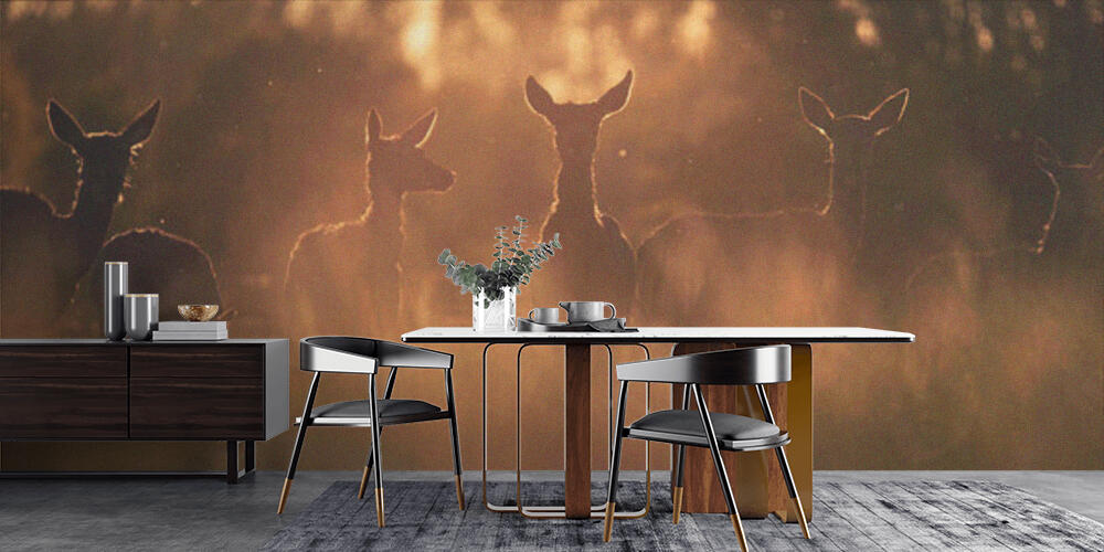 Group of red deer hinds in meadow backlight by evening sun, Cucina