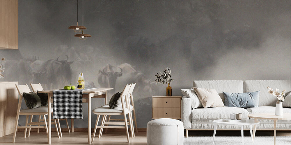 Picture of wildlife, Cucina