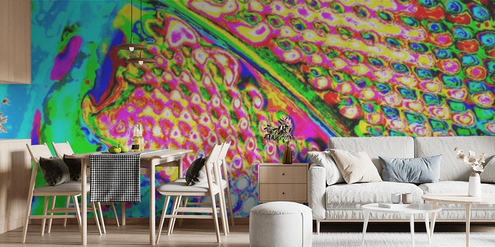 Creative and design art work, Cucina