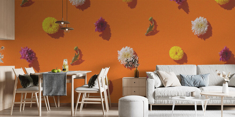 Creative pattern made of chrysanthemum flowers on bright orange background, Cucina