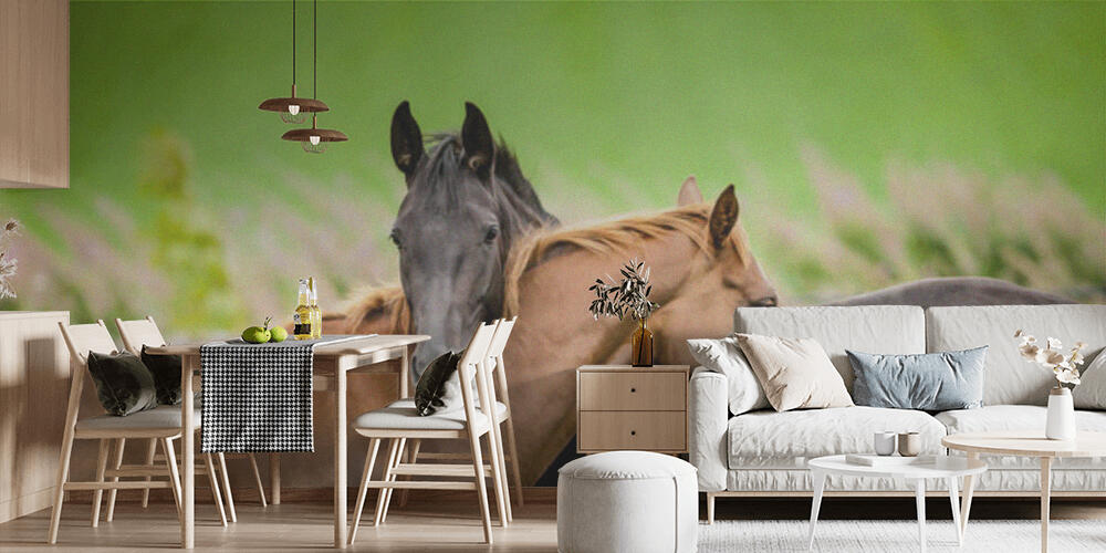 Two horses embracing, Cucina