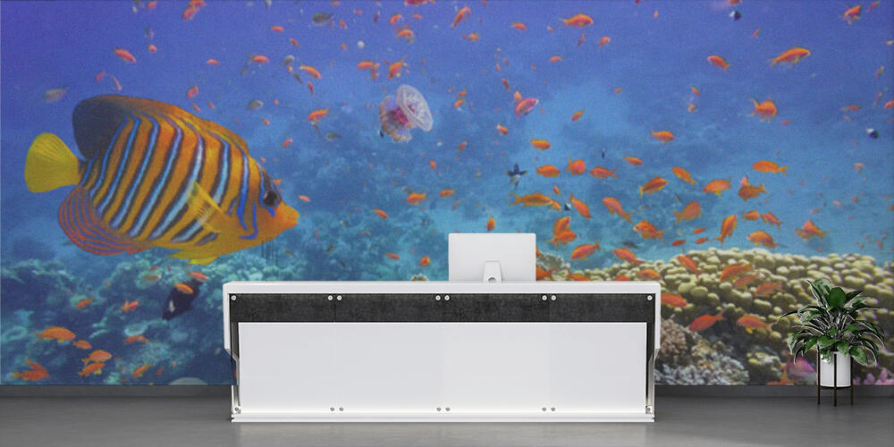 Coral Reef and Tropical Fish in the Red Sea, Reception