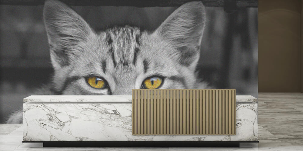 Black & Yellow, Reception