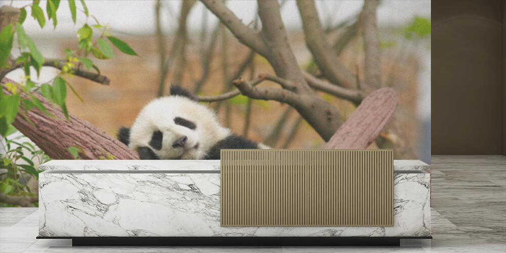 Sleeping giant panda baby, Reception