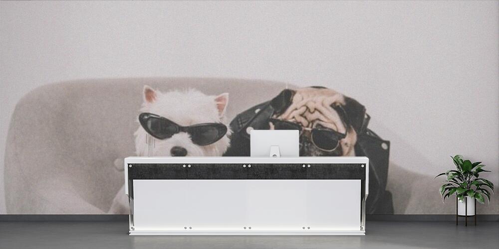 stylish dogs in sunglasses, Reception