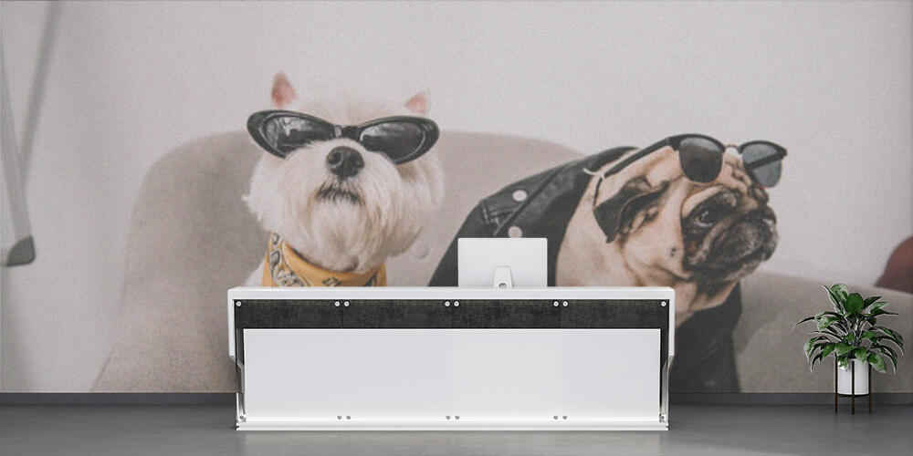stylish dogs in sunglasses, Reception