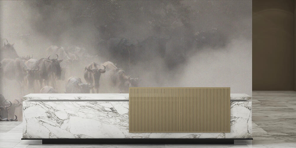 Picture of wildlife, Reception