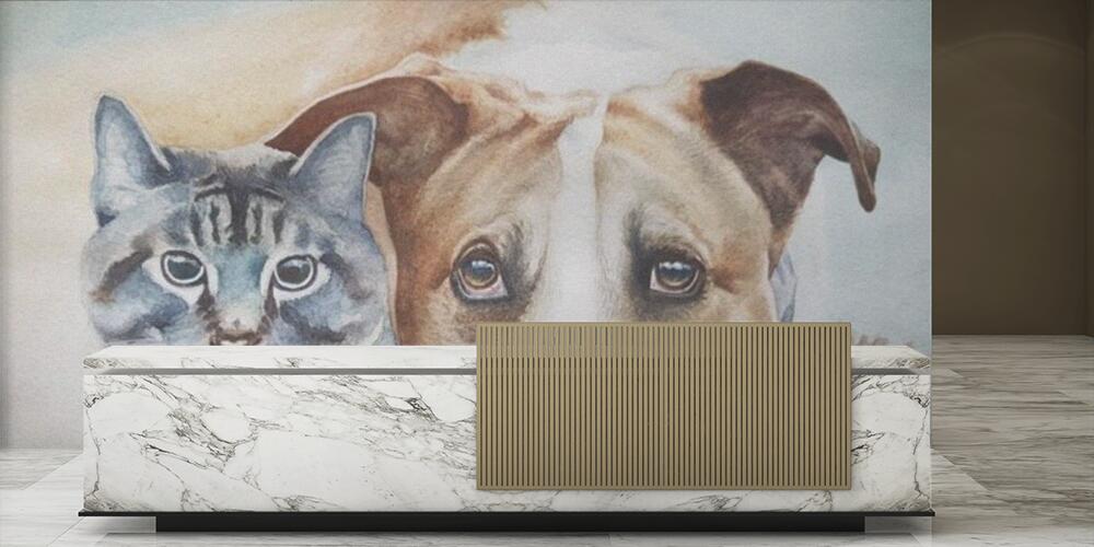 Dog and cat are the best friends, Reception