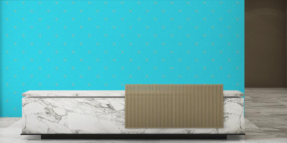 Colored background with different accessories, Reception