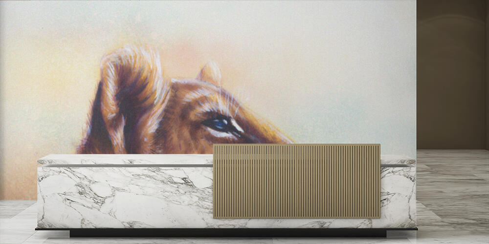 Little lion cub head, Reception