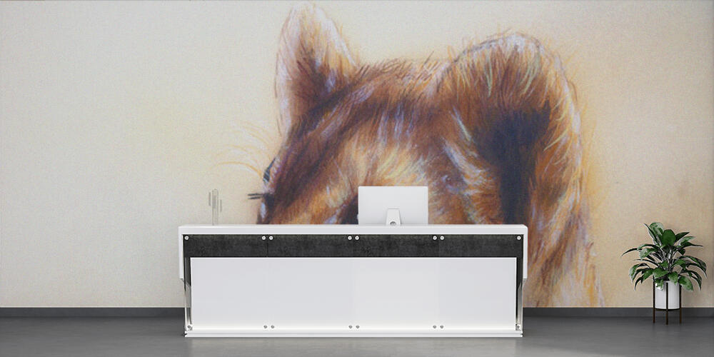 Little lion cub head, Reception