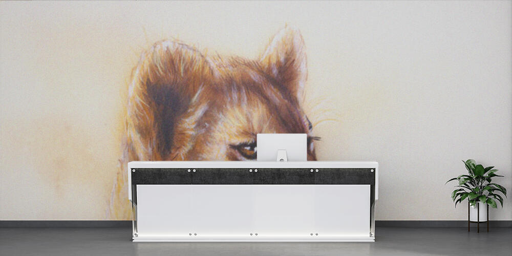 Little lion cub head, Reception