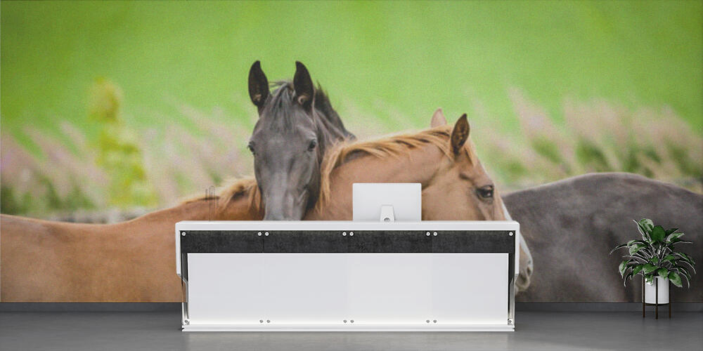 Two horses embracing, Reception