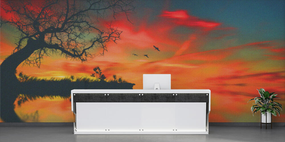 Beautiful saturated landscape, Reception