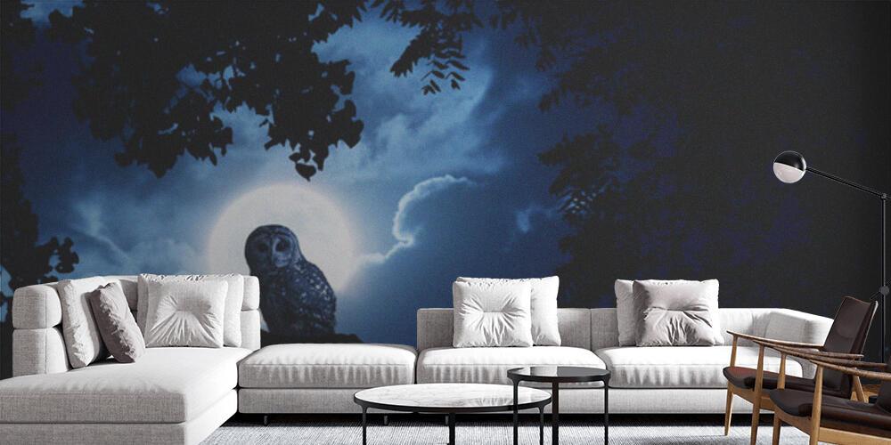 Owl Watches Intently Illuminated By Full Moon On Halloween Night, Salotto