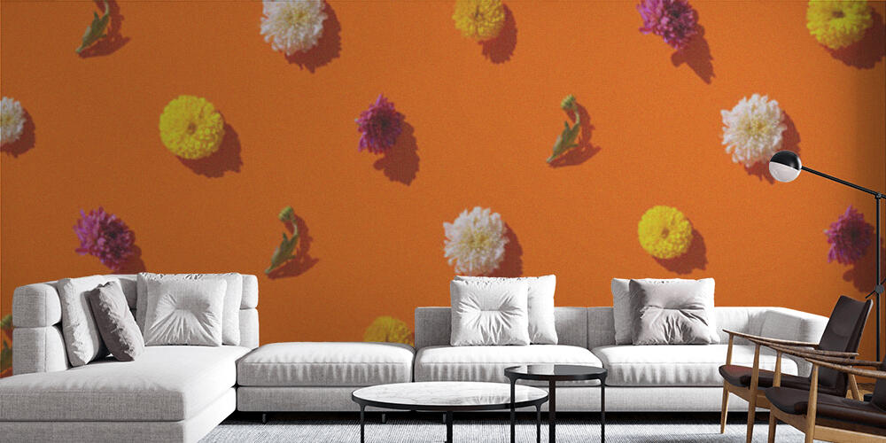 Creative pattern made of chrysanthemum flowers on bright orange background, Salotto