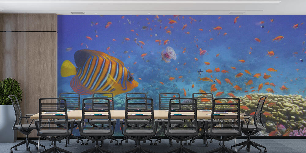 Coral Reef and Tropical Fish in the Red Sea, Studio e Ufficio