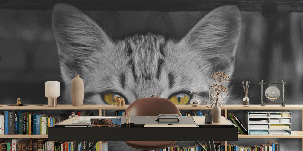 Black & Yellow, Studio e Ufficio