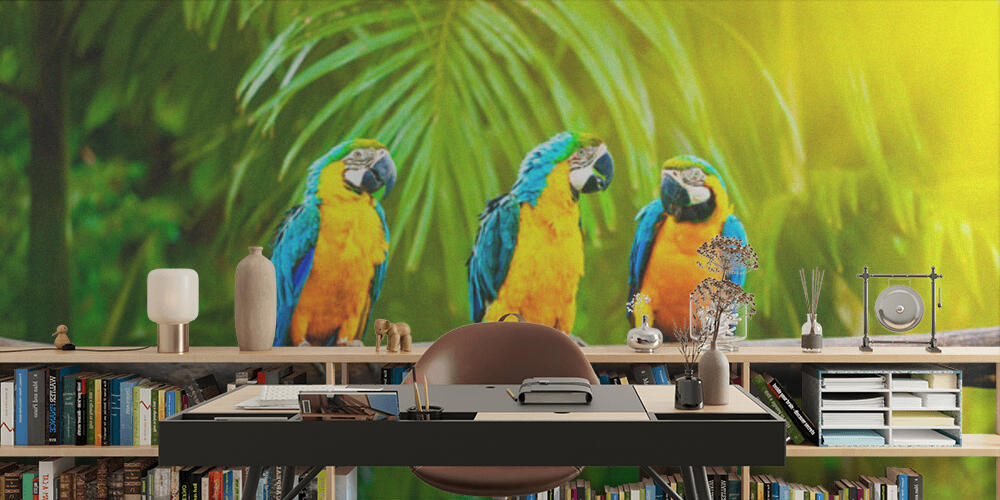 Blue-and-Yellow Macaw, Studio e Ufficio