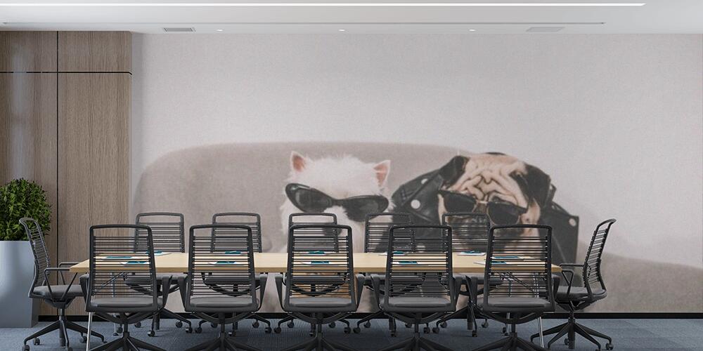 stylish dogs in sunglasses, Studio e Ufficio