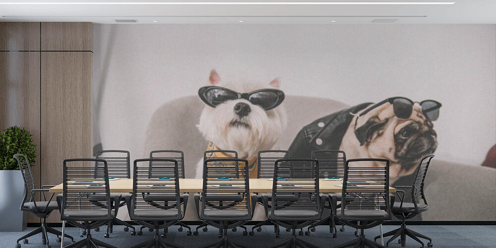 stylish dogs in sunglasses, Studio e Ufficio