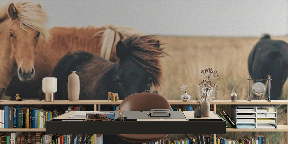 horses, Studio e Ufficio