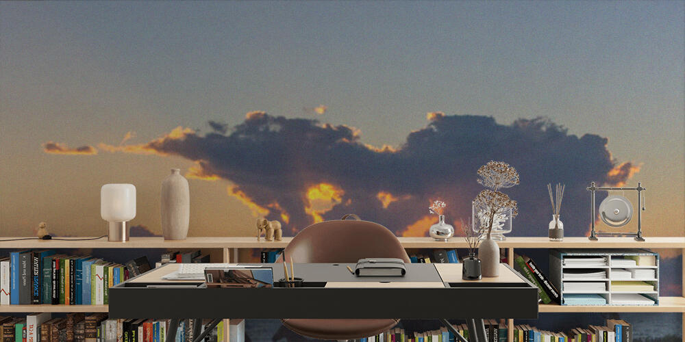 horses, Studio e Ufficio