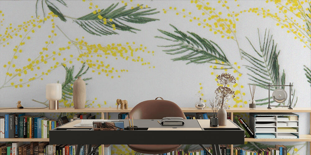 mimosa flowers on white background, Studio e Ufficio