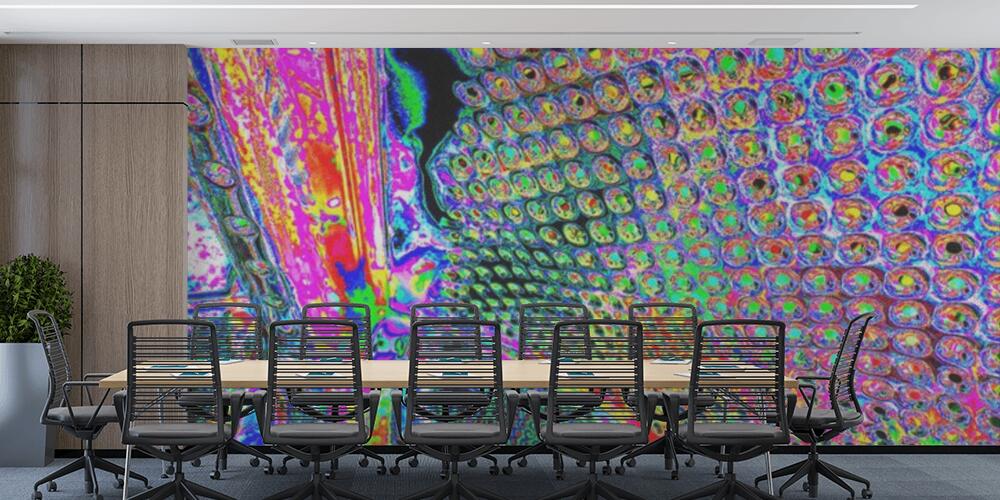 Creative and design art work, Studio e Ufficio