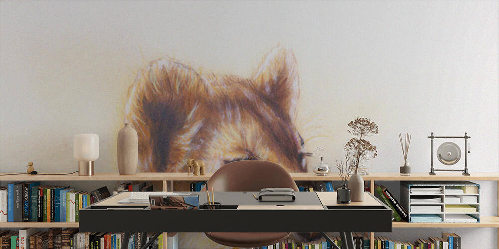 Little lion cub head, Studio e Ufficio