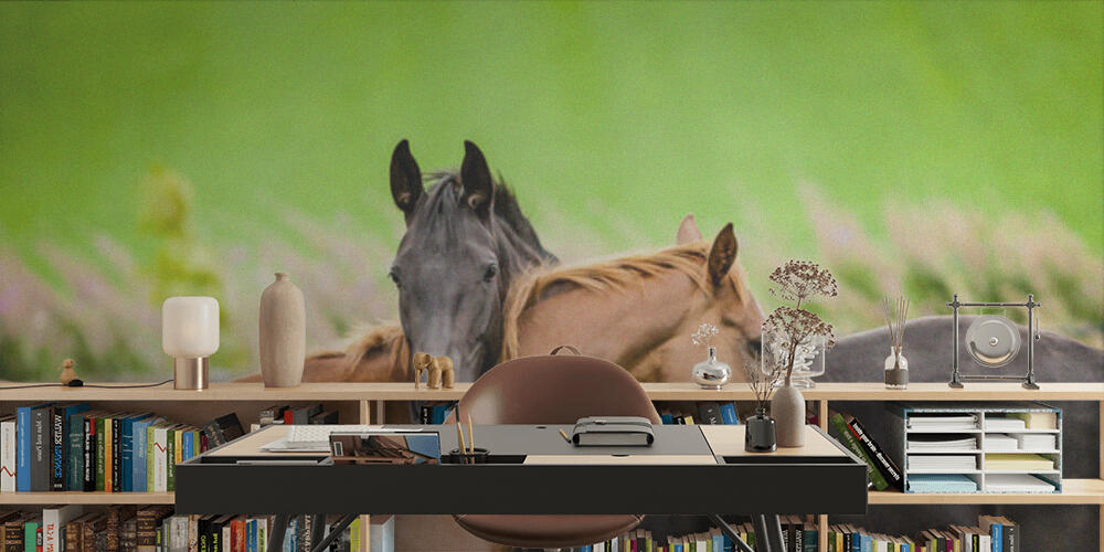 Two horses embracing, Studio e Ufficio