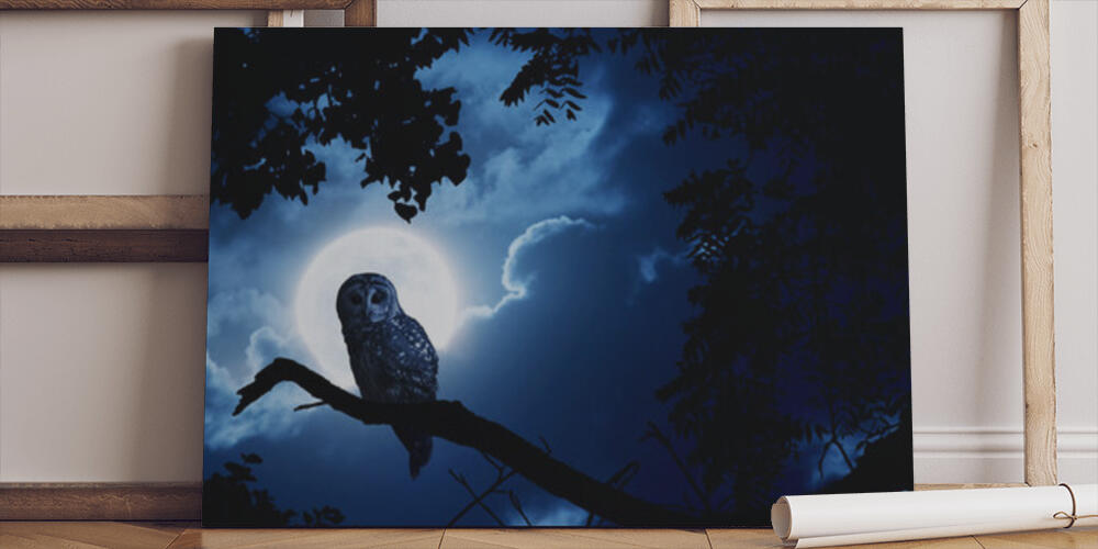 Owl Watches Intently Illuminated By Full Moon On Halloween Night, 